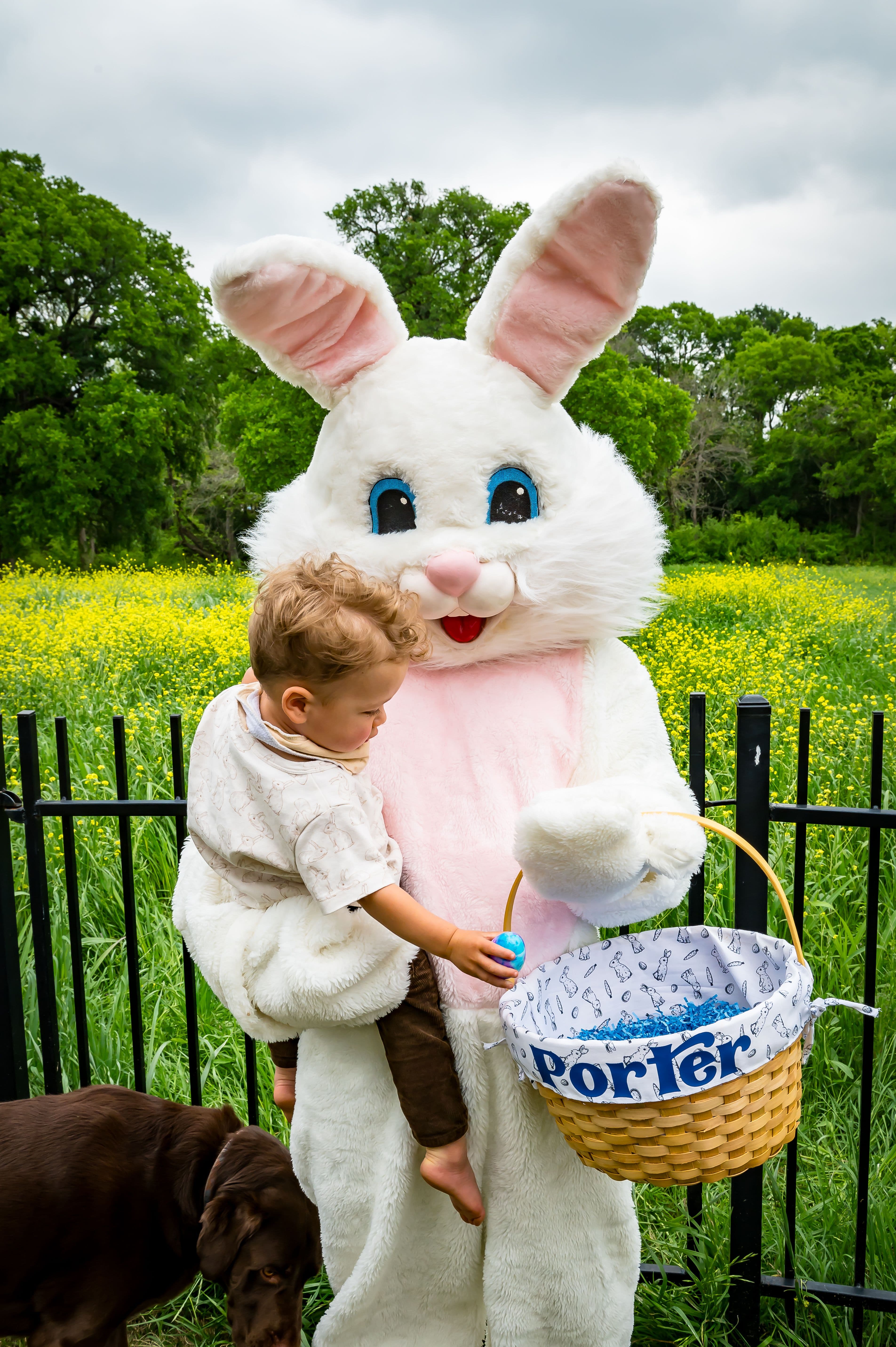 Practical Easter Baskets for Kids: Skip the Toy Clutter
