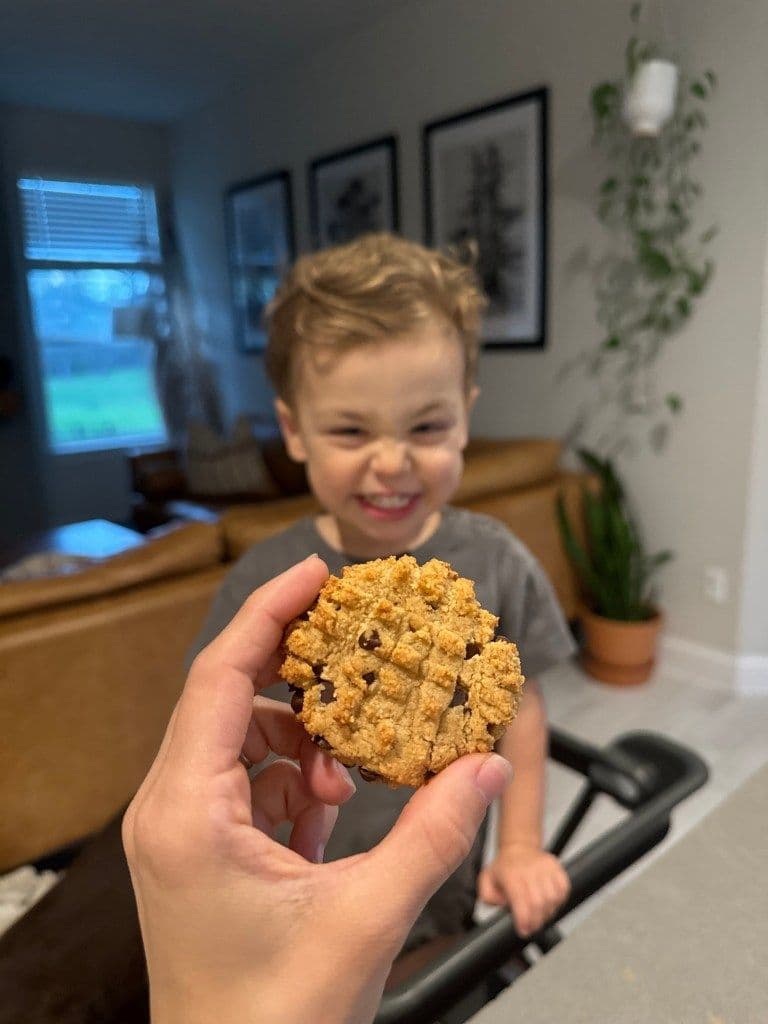Toddler Friendly Peanut Butter Mini Chocolate Chip Cookie