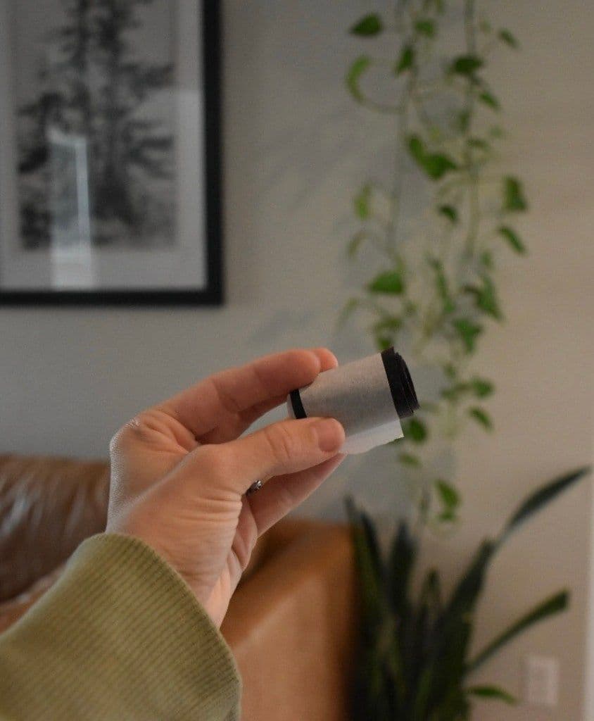 3-Ingredient Fruit Roll Ups