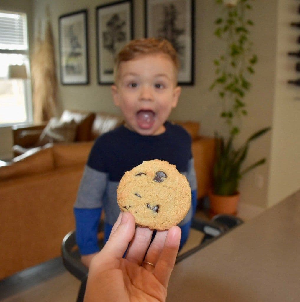 Toddler Friendly Chocolate Chip Cookie
