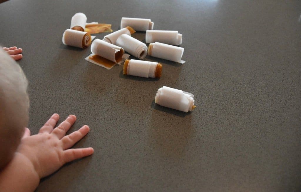 3-Ingredient Fruit Roll Ups - Mango & Apple