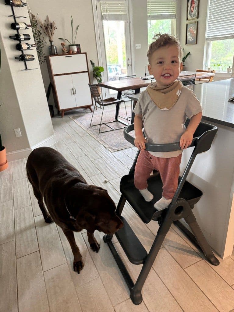 My favorite Toddler Tower